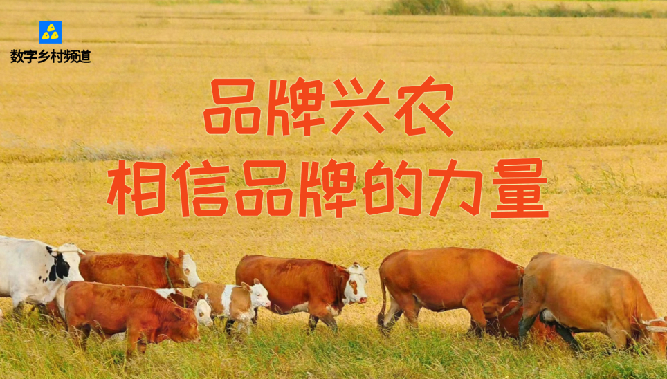 品牌興農
